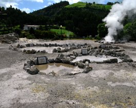 furnas