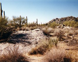 Sonora Desert