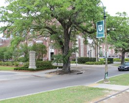 tulane