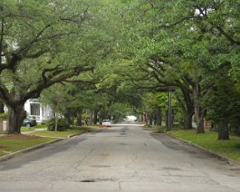 Town Views