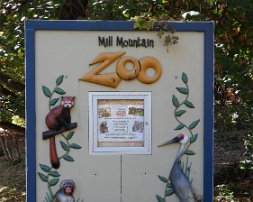 zoo